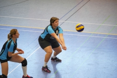 vb_d1118_03