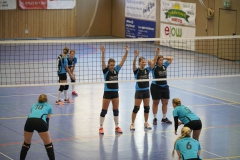 vb_d1118_11