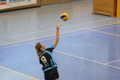 vb_d1118_25
