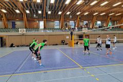 d8764d9f-3b9f-4486-a693-7c41df8734eb-1